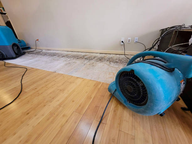 Reliable Basement Flood Cleanup contractor in Chandler, TX by Hirex Water Damage