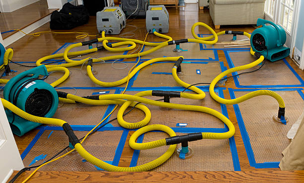 Professional Basement Flood Cleanup technician working in Chandler, TX